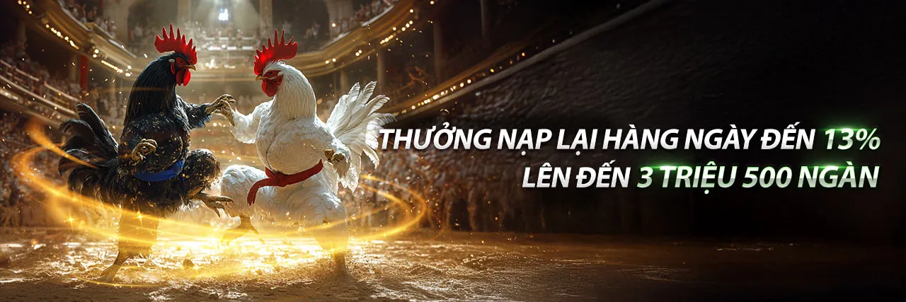 Đá gà trực tiếp kịch tính tại sảnh 67 của Casino67 Vietnam